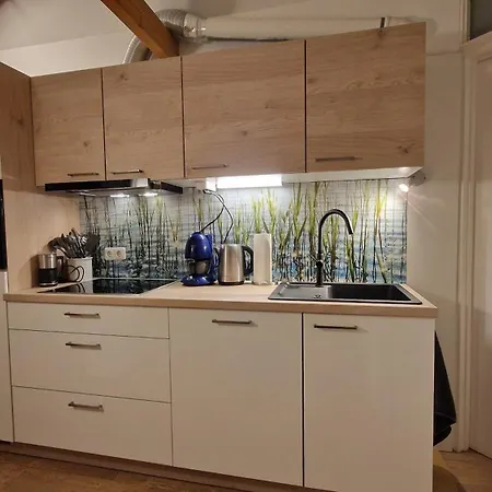 Alter Kindergarten Vakantieappartementen Apartman Bad Mitterndorf